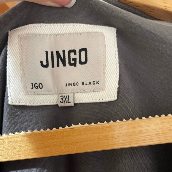 JINGO V-Neck short sleeve tee. NWOT - Picture 2 of 4